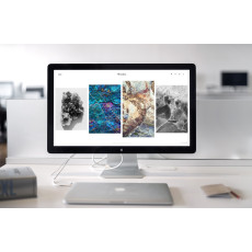 Media Video Production 